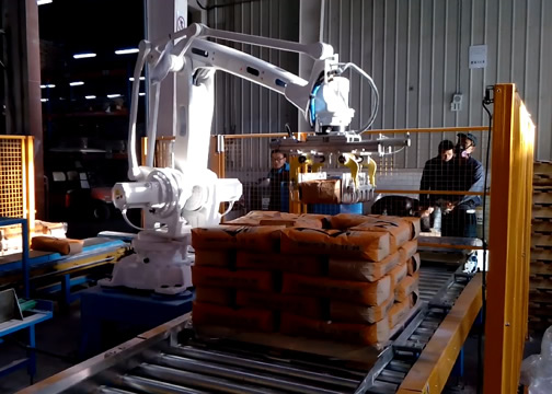 袋裝碼垛機（jī）